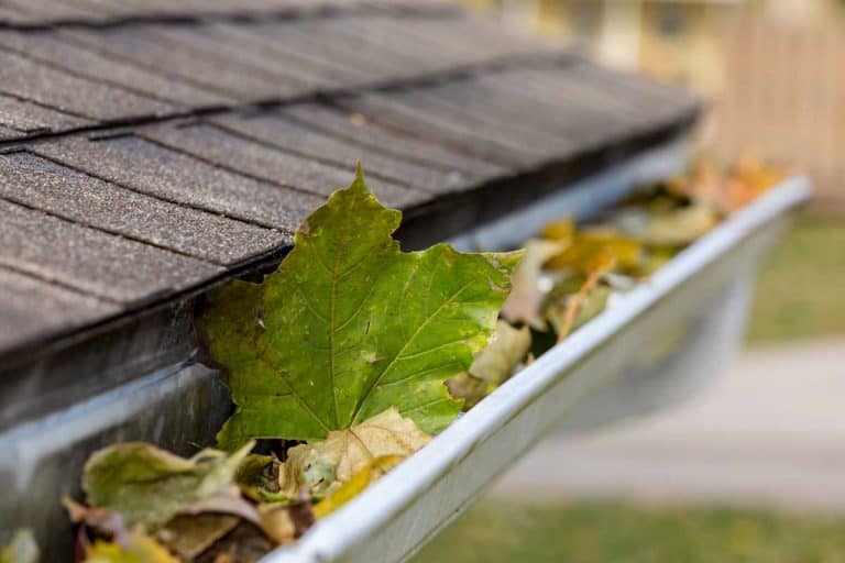 Closeup of house rain gutter clogged with colorful leaves falling from trees in fall, How Do You Clean Gutters From The Ground? [6 Effective Methods]