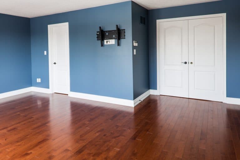 A blue painted wall with wooden laminated flooring, Can Ceiling Paint Be Used On Walls?