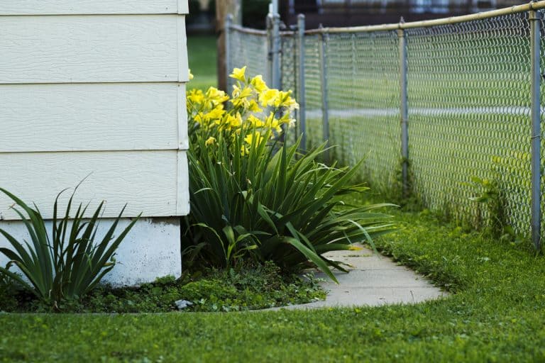 A chain link fence on the side of the house, Should A Chain Link Fence Touch The Ground? [And how deep should posts go?]