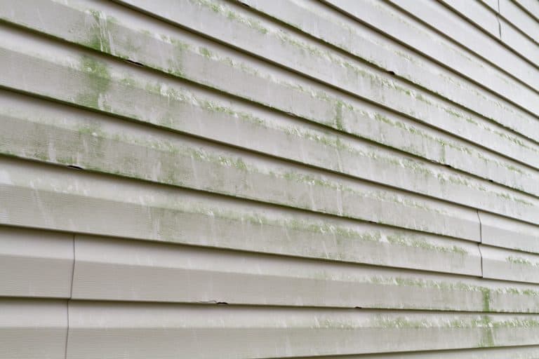 A house with vinyl sidings with green algae growing on the walls, How To Remove Green Algae From Vinyl Siding