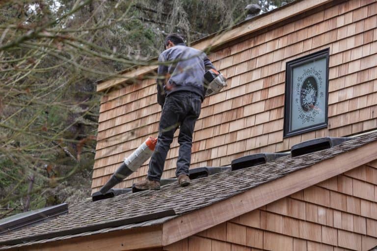 A man cleaning the roof of his house using a leaf blower, Can You Use A Leaf Blower To Clean Gutters?