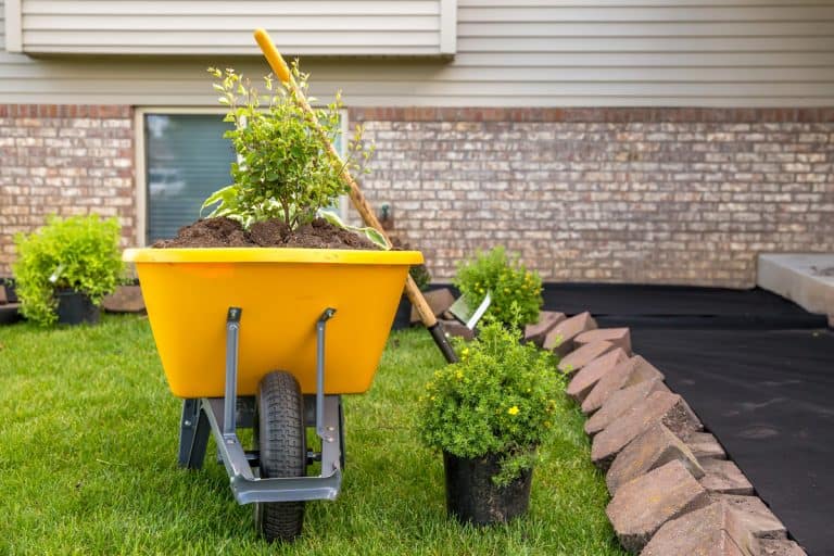 A wheelbarrow with small shrubs on it ready to be placed on the side of a garden with landscaping fabric, Is Landscape Fabric Waterproof?