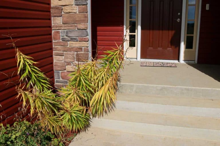 Front porch of a home with concrete steps, How to remove paint from a concrete porch [7 Methods to Try]