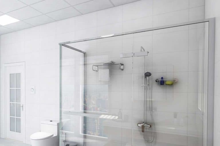 Modern and spacious unmanned clean bathroom and glass shower room, How To Install Tile On A Shower Ceiling? [14 Steps]