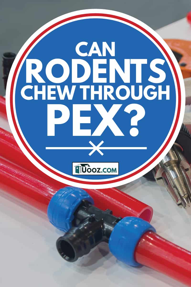 Water pipes PEX and mounting tools on the table, can rodents chew through pex