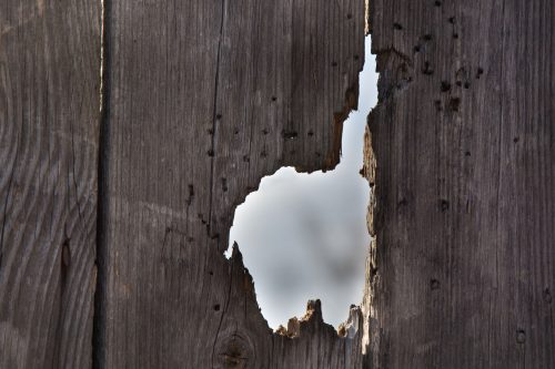 Read more about the article How To Fix A Hole In A Door [7 Steps To Follow]