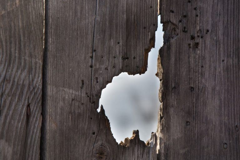 A huge hole in a door fence, How To Fix A Hole In A Door [7 Steps To Follow]