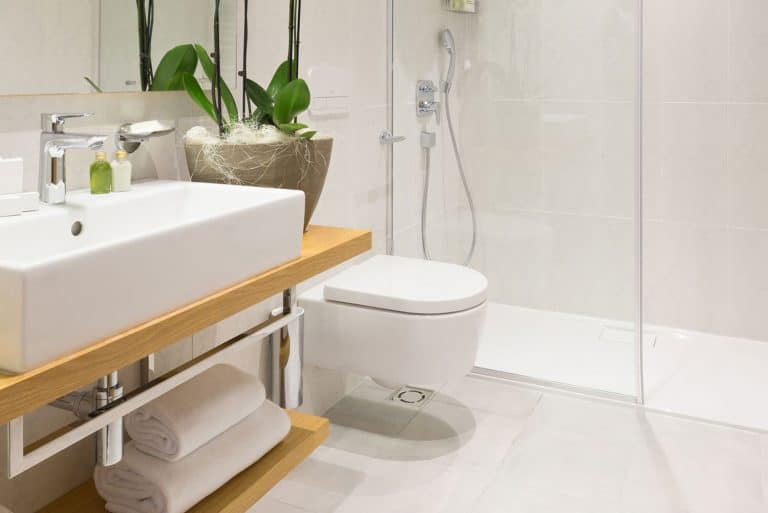 Interior of a modern bathroom with toilet, How To Clean Toilet Siphons