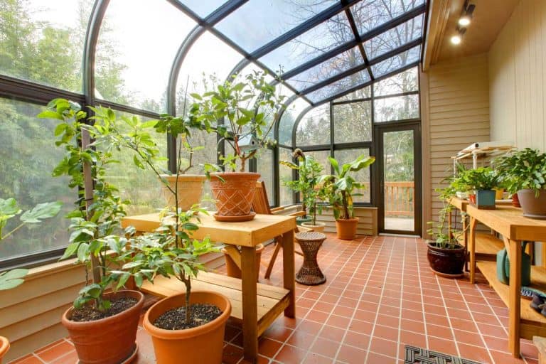 Private home green house with tiled floor, Should You Have A Floor In A Greenhouse?