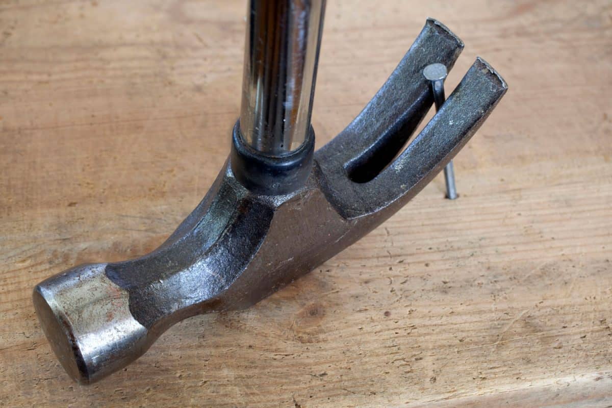 A close up photo of a hammer pulling out nail