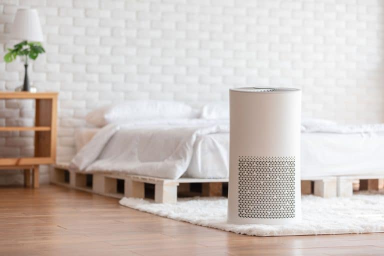 An air purifier inside a minimalist bohemian inspired bedroom, How To Get Bug Bomb Smell Out Of The House