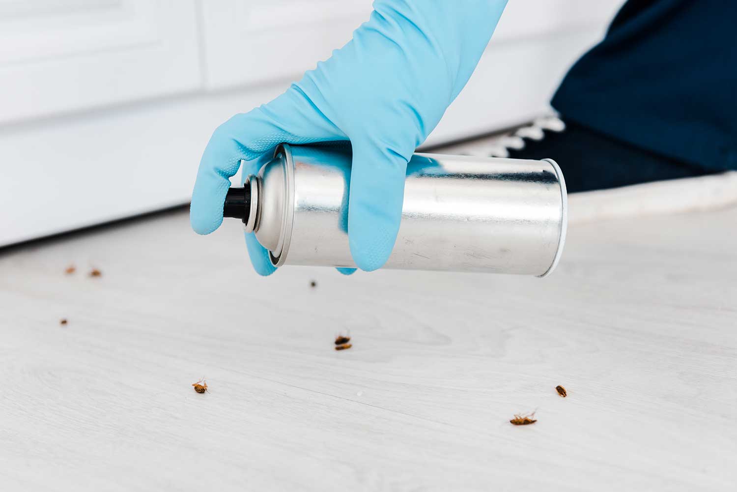 Cropped view of exterminator holding toxic spray can near insects on floor