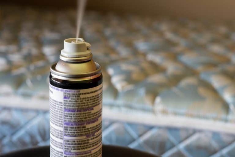 Insecticide aerosol fogger used to kill bed bugs, How Many Bug Bombs Should You Use Per Room?