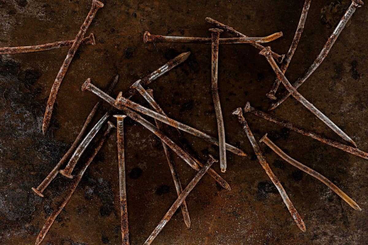Rusted nails on the ground