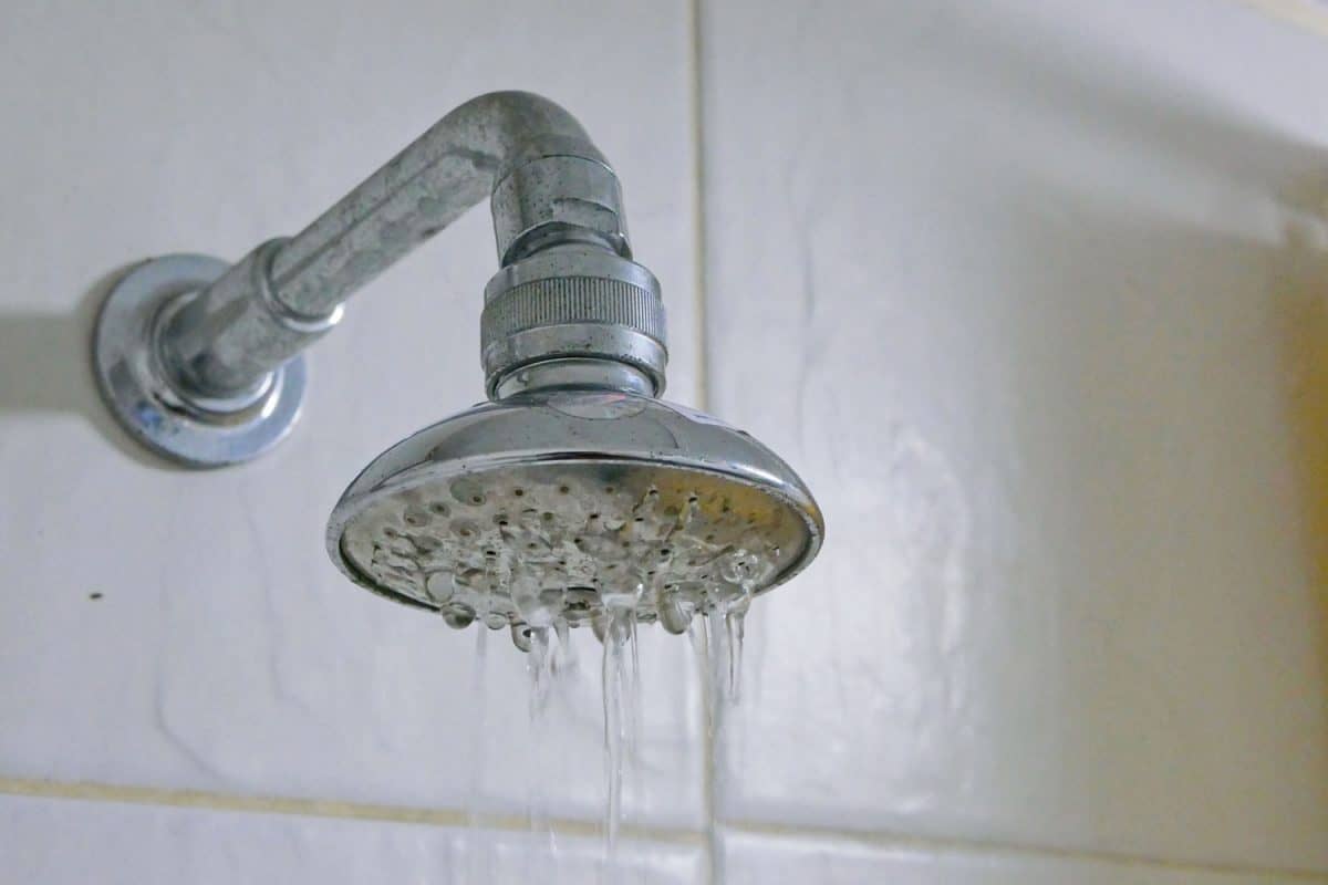 A stainless steel shower head dripping water