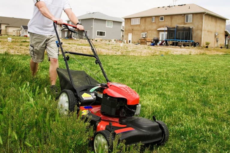 Photo of a man mowing a very large lawn with a look of misery on his face, Craftsman Lawn Mower Won't Start - What To Do