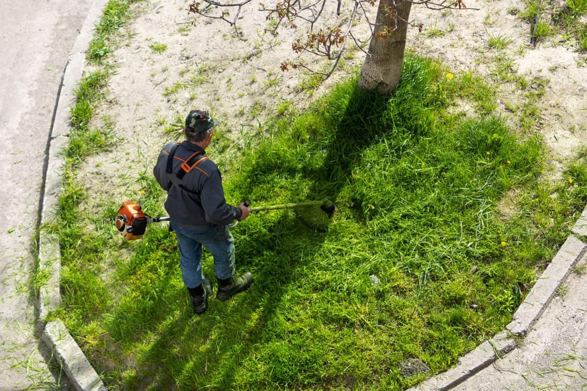 A man using a gas powered grass cutter in his garden