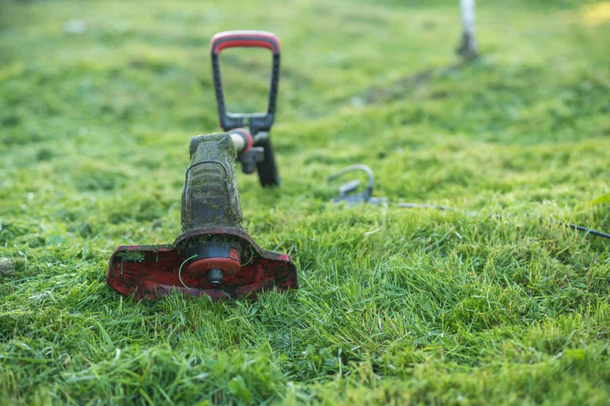 A red grass cutter photographed in selective focus mode