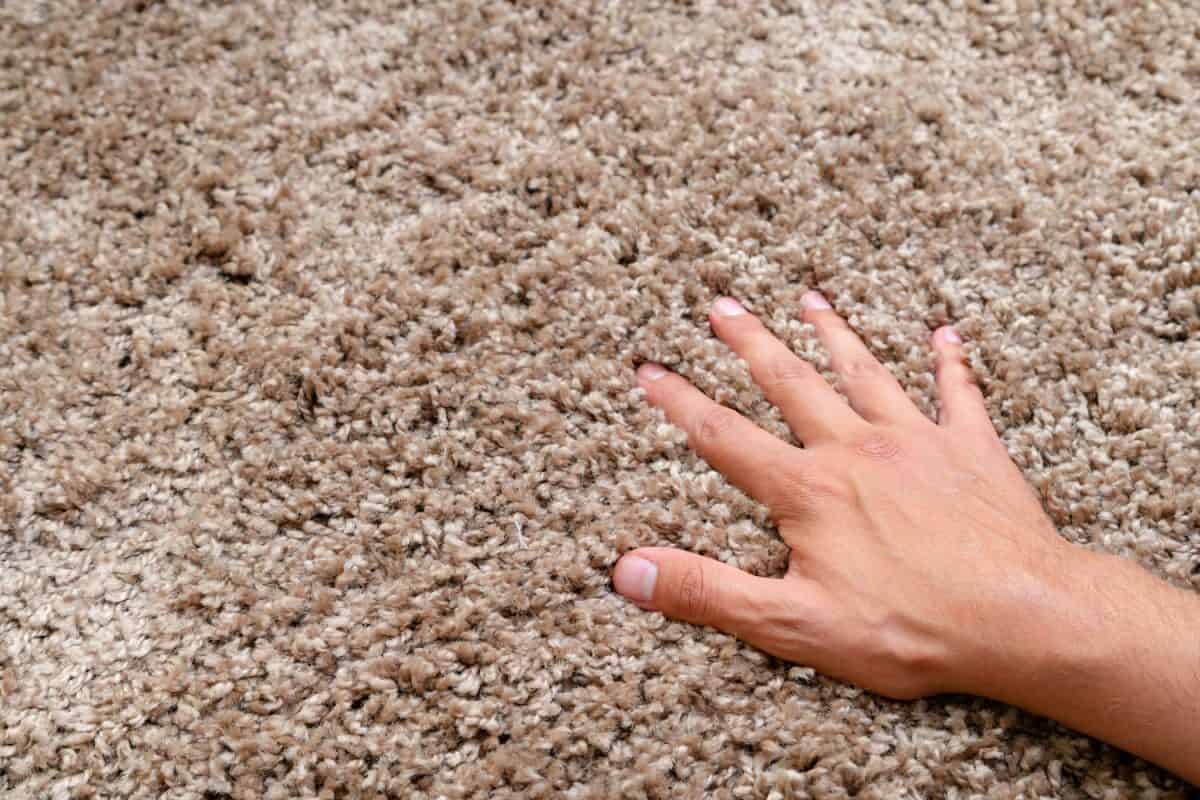 A woman holding a newly cleaned carpet, What Carpet Deodorizers Are Safe For Pets? [6 Best Options]