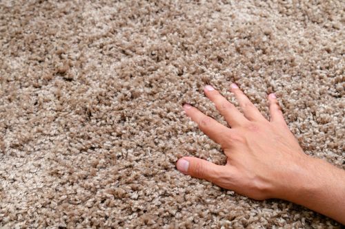Read more about the article What Carpet Deodorizers Are Safe For Pets? [6 Best Options]