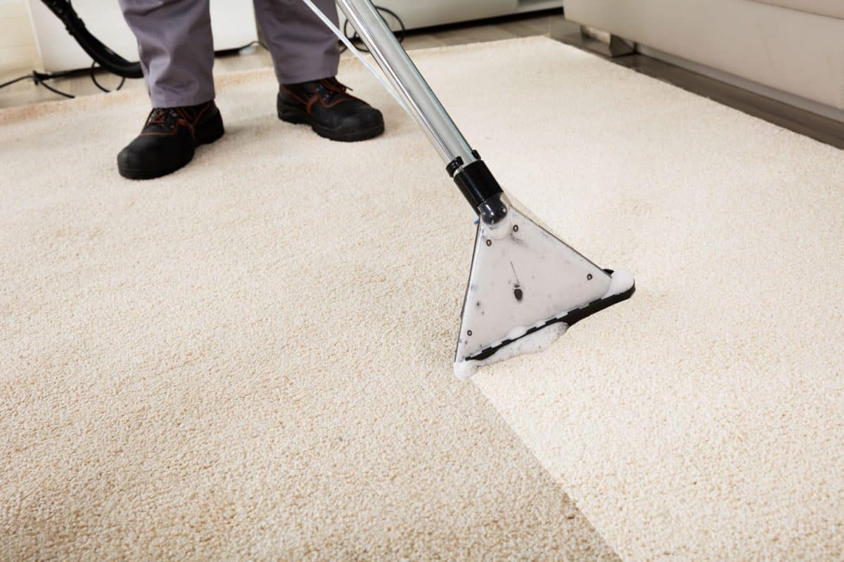 A worker cleaning the carpet using a steam cleaner