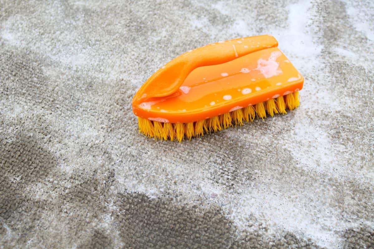 An orange brush used for cleaning the carpet with specialized soap