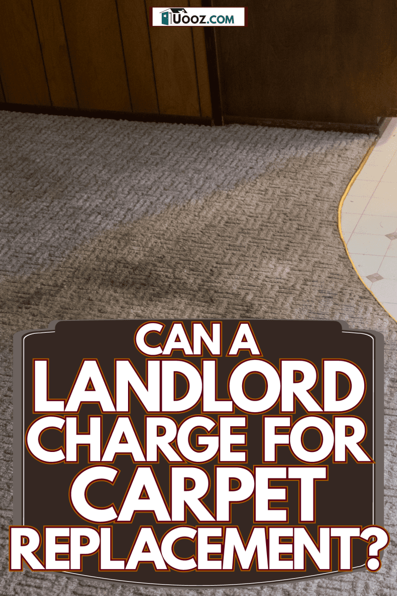 Damage on the carpet inside a small house, Can A Landlord Charge For Carpet Replacement?