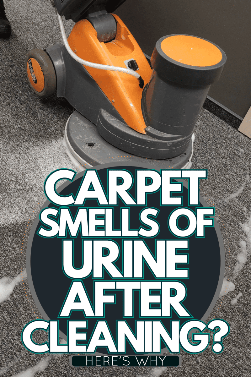 A worker cleaning the gray carpet using a disk cleaner, Carpet Smells Of Urine After Cleaning? Here's Why