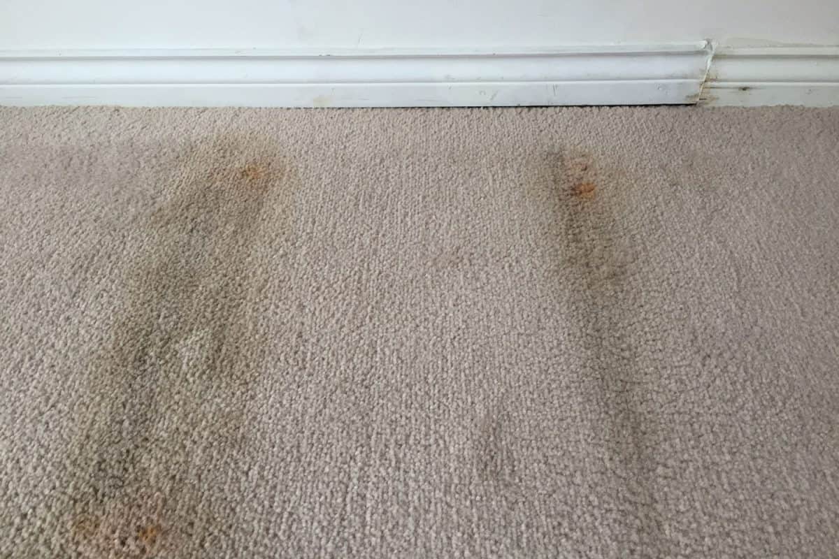 Carpet damage inside a living room