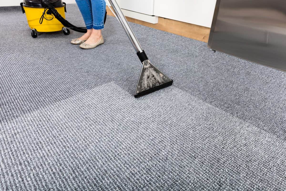 Cleaning the living room carpet using a vacuum cleaner