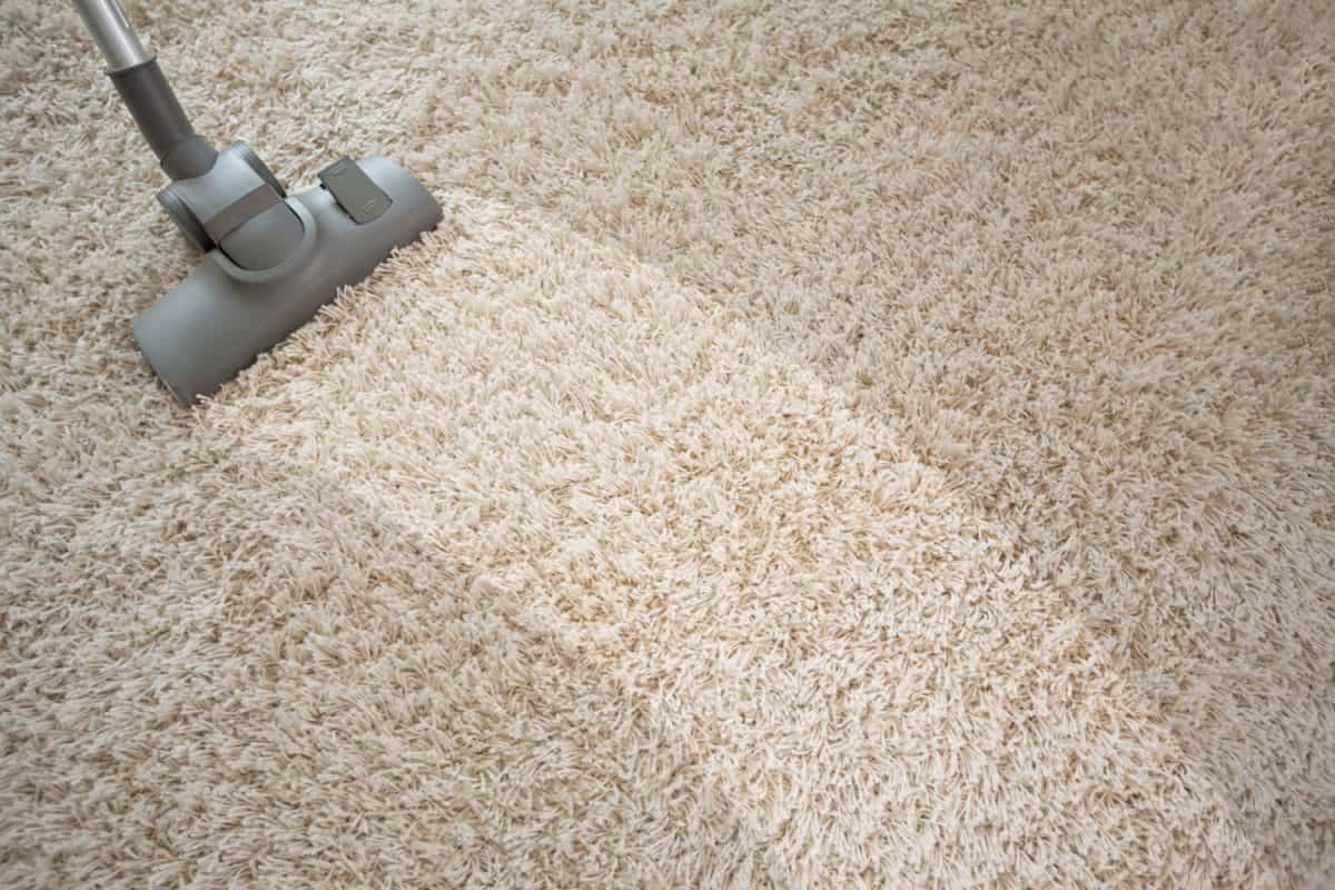Cleaning a dirty cream colored carpet using a vacuum