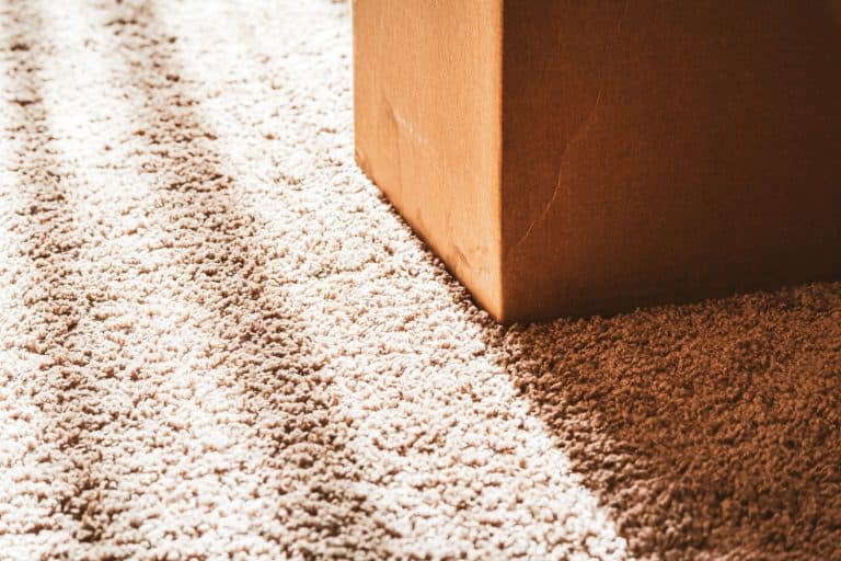 Closeup of a Cardboard Box On a Carpeted Floor,Carpet Seams Coming Apart - What To Do?