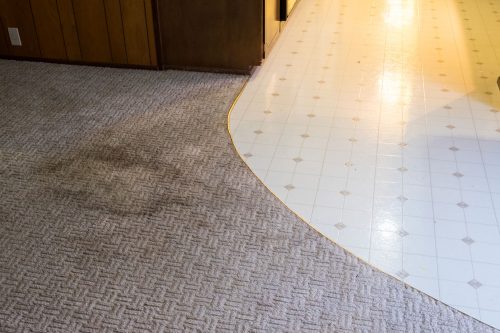 Read more about the article Can A Landlord Charge For Carpet Replacement?
