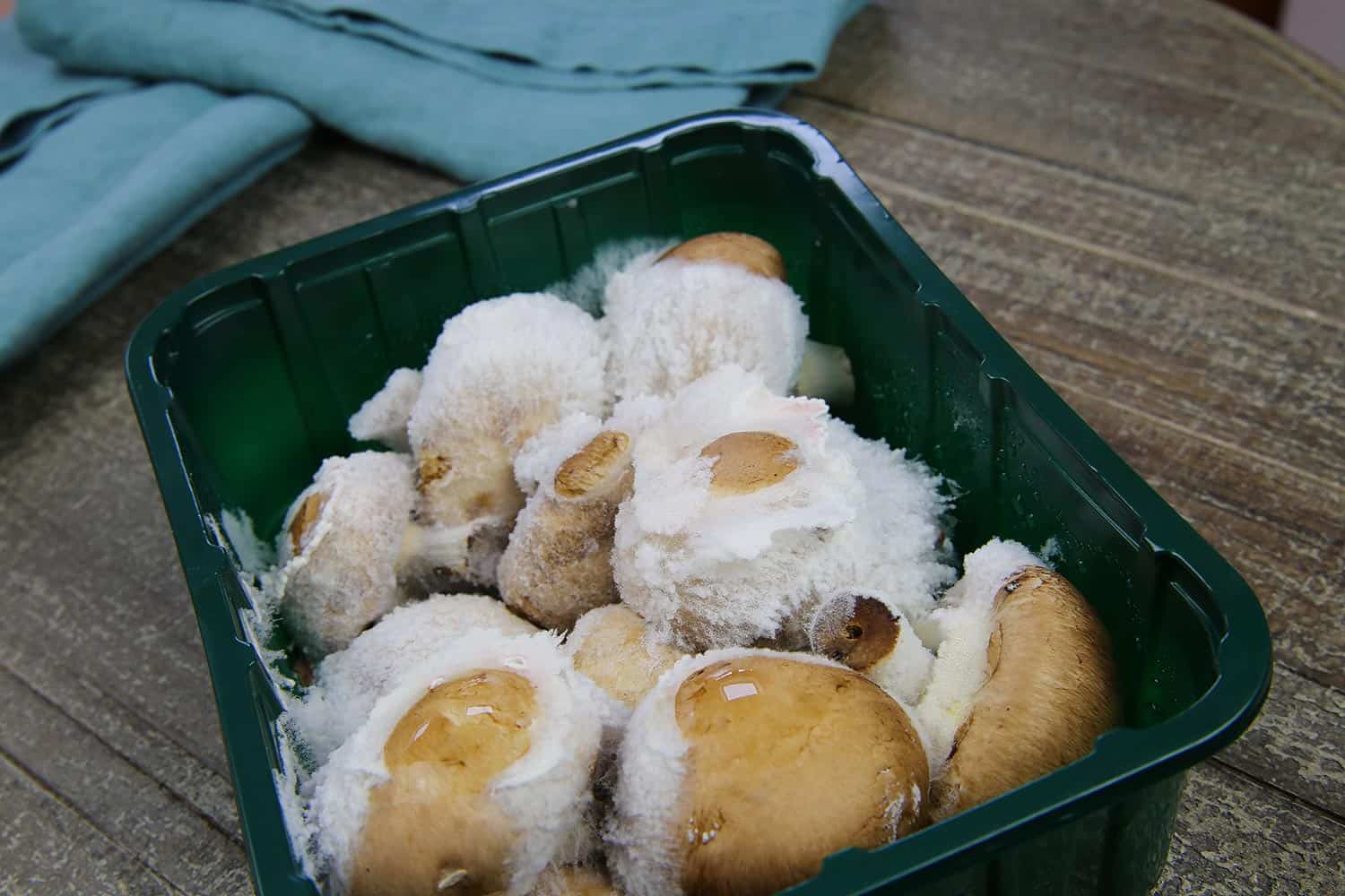 Disgusting spoiled champignon mushrooms with white mildew in plastic box