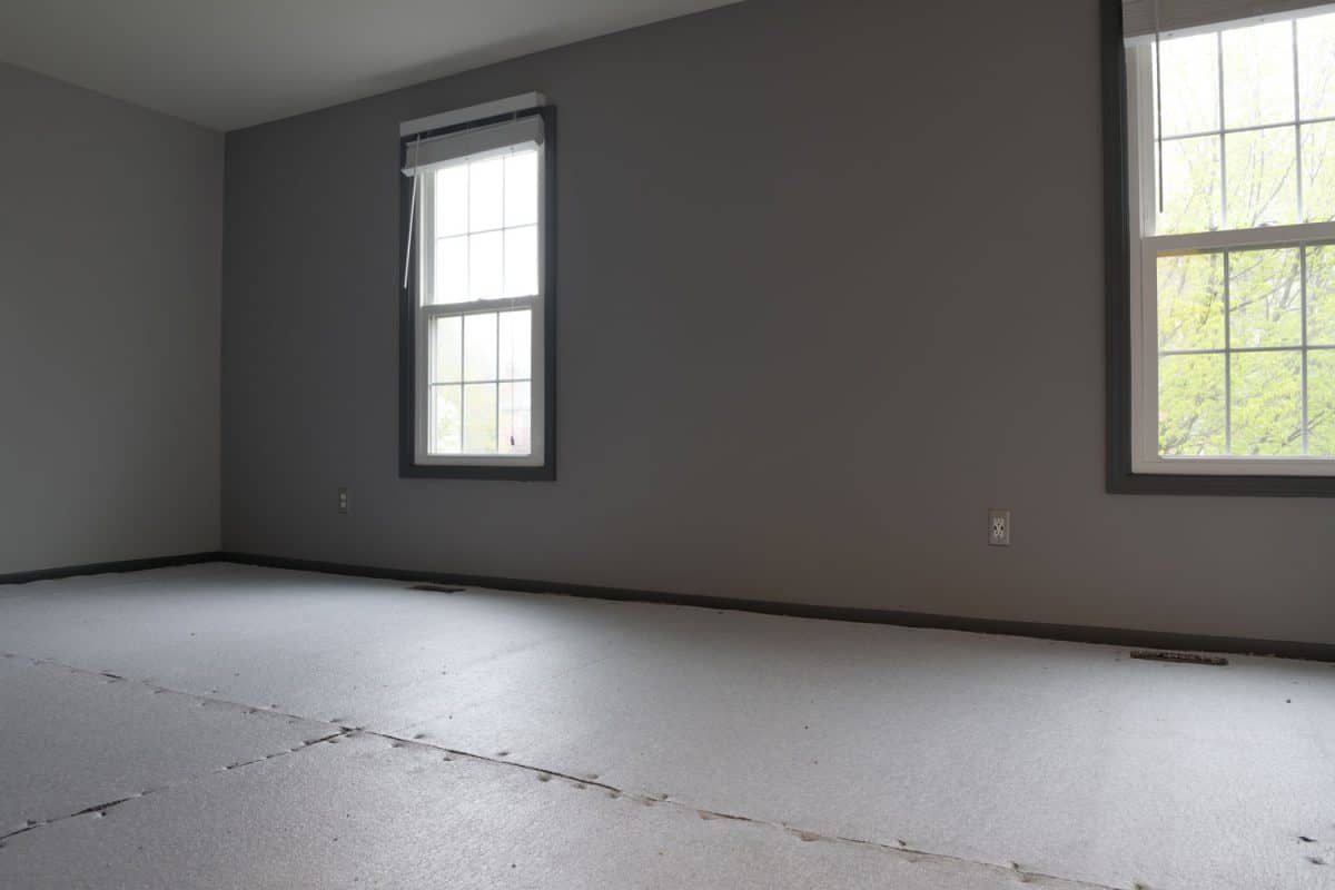 Gray empty living room with carpet padding, gray walls and bared windows