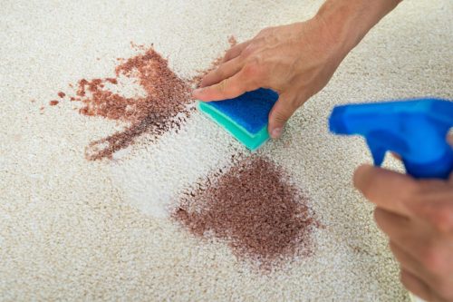 Read more about the article Can You Use Zout On Carpet?