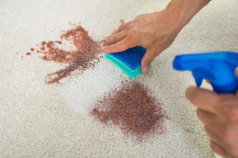 Man cleaning stain on carpet, Can You Use Zout On Carpet?