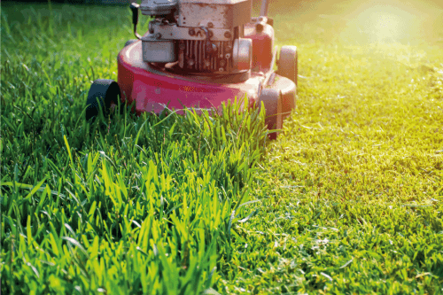 Read more about the article Honda Lawn Mower Won’t Start – Potential Causes & Maintenance Tips