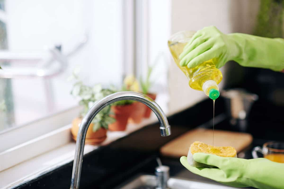 Pouring dishwashing soap on the sponge