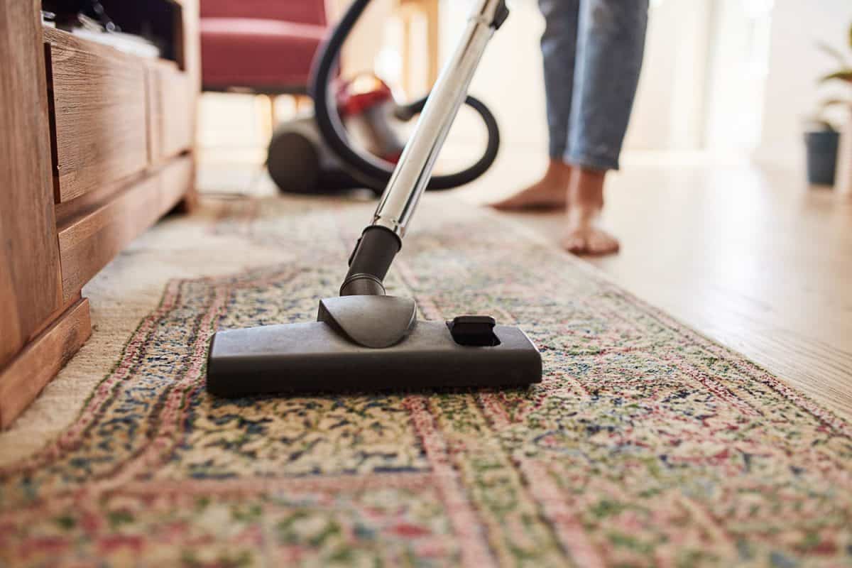 Using a vacuum in cleaning a dirty carpet
