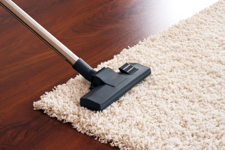 Vacuum cleaner to tidy up carpet, What Type Of Carpet Lasts The Longest?