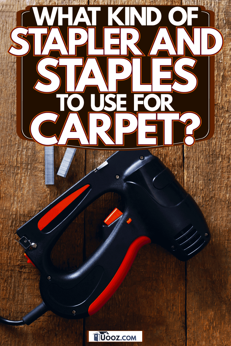 A stapler with staples on the side placed on the floor, What Kind Of Stapler And Staples To Use For Carpet?