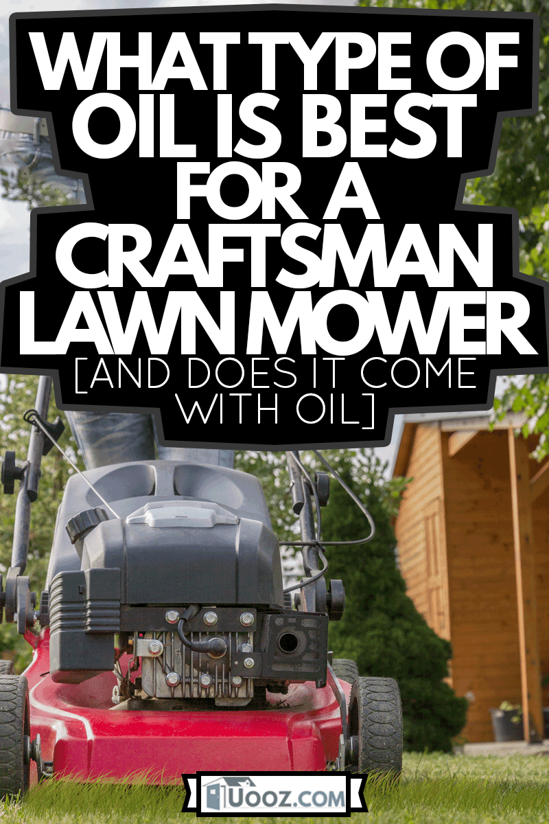 Woman mows her lawn with a red gasoline lawnmower in summer, What Type Of Oil Is Best For A Craftsman Lawn Mower [And Does It Come With Oil]
