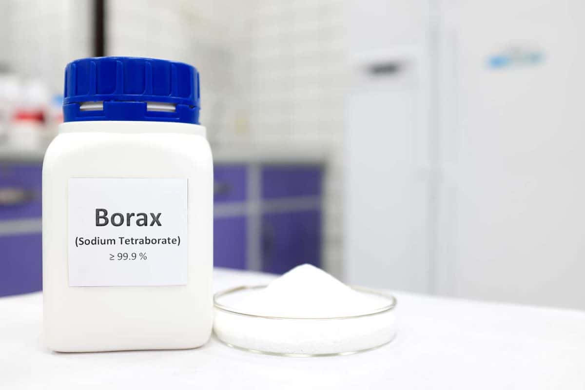 A bottle of borax chemical compound or sodium tetraborate beside a petri dish with solid powder substance