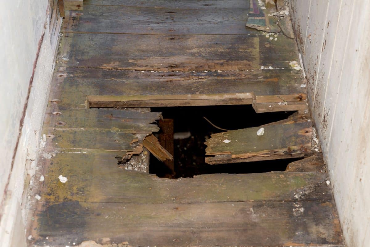 A hole in the floor of an old building. The floor is in a narrow hallway. A dark basement can be seen through the hole.