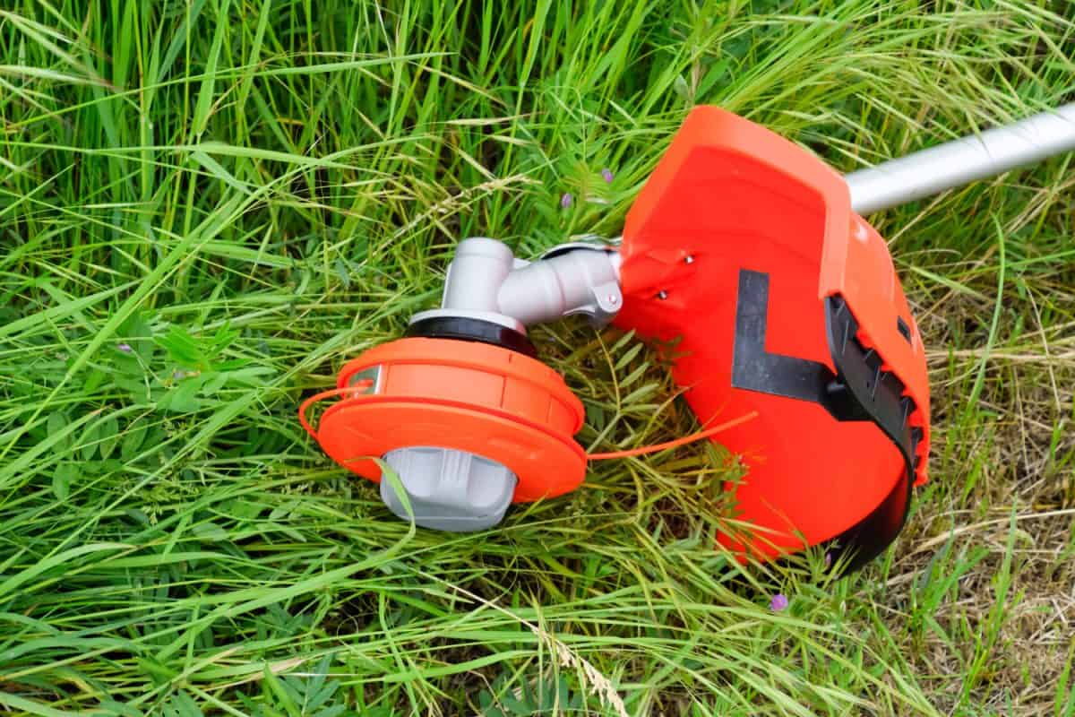 A red weed trimmer trimming grass