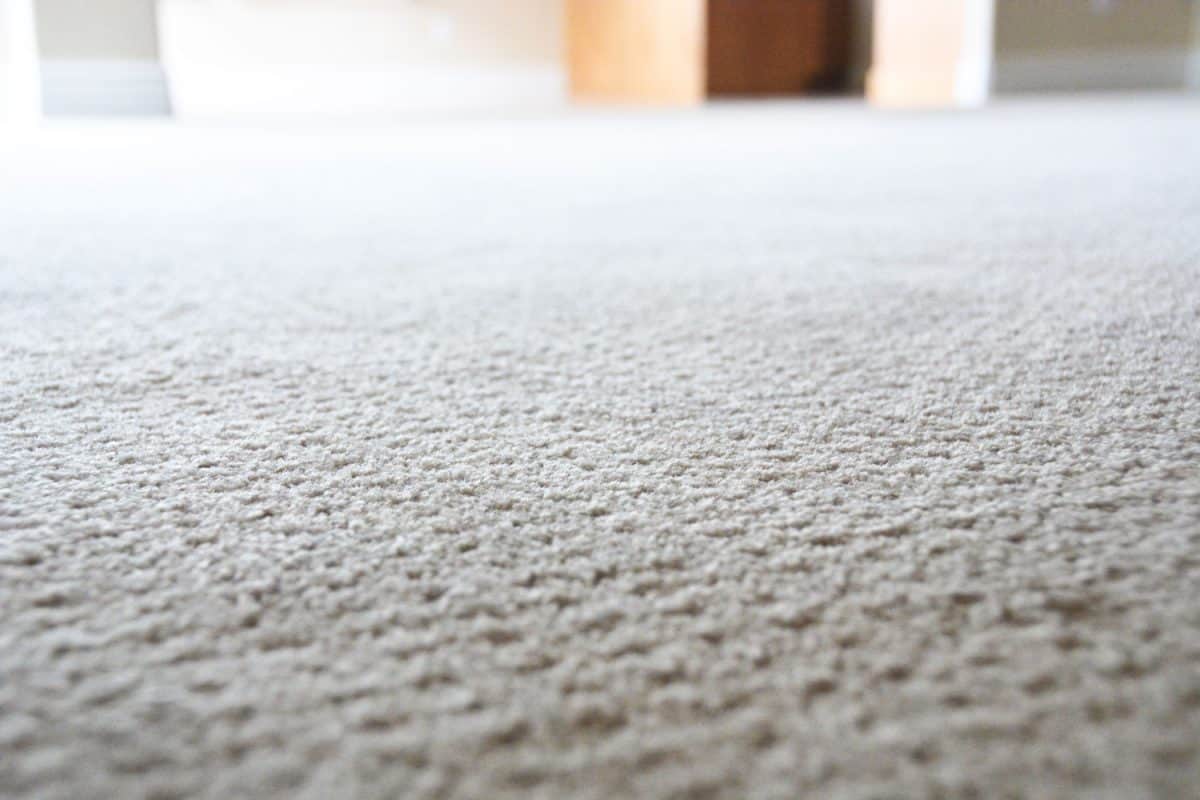 An up close photo of hard carpet in the living room
