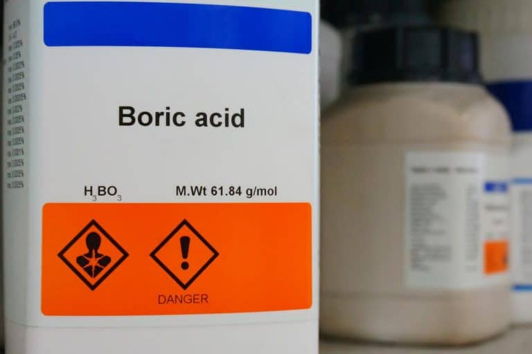 Bottle of boric acid, How To Use Boric Acid On Carpet