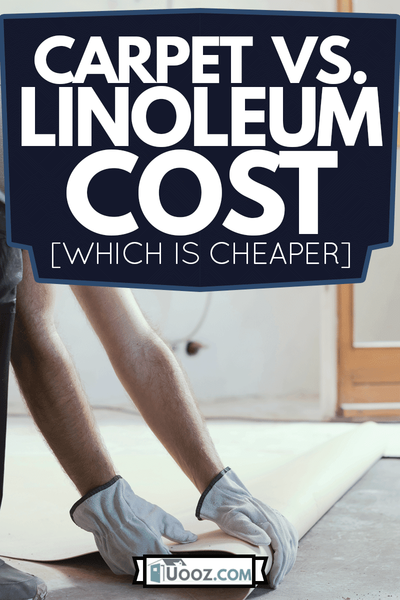 Carpet Vs. Linoleum Cost: Which Is Cheaper? - uooz.com