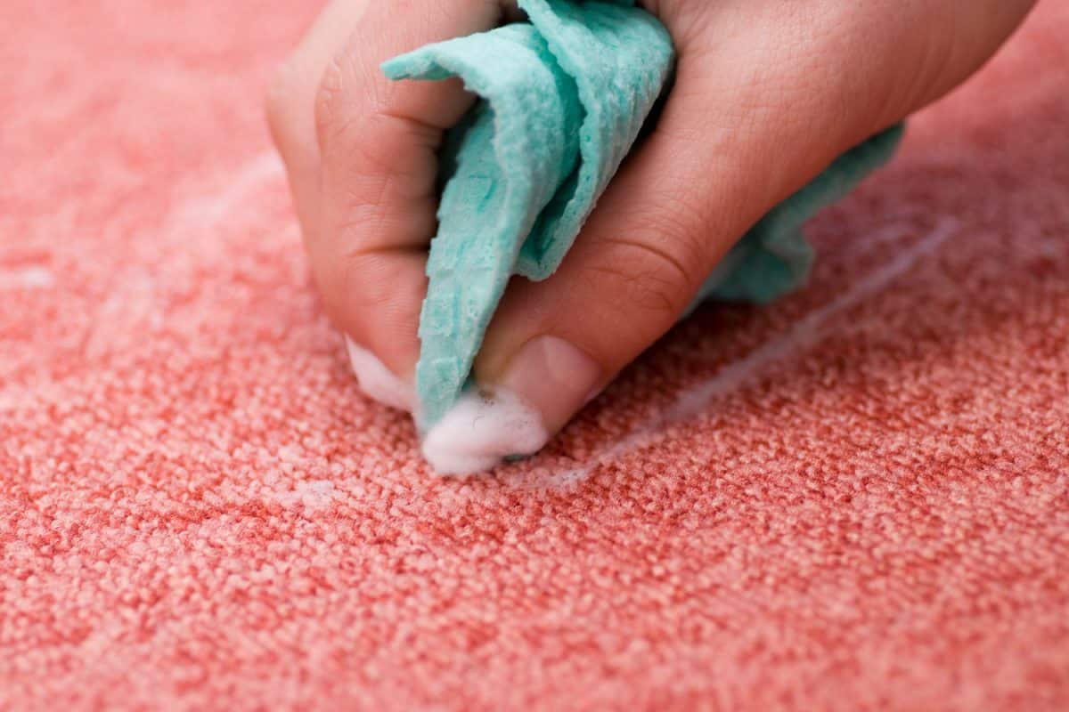 Cleaning the carpet using cleaning soap and cloth